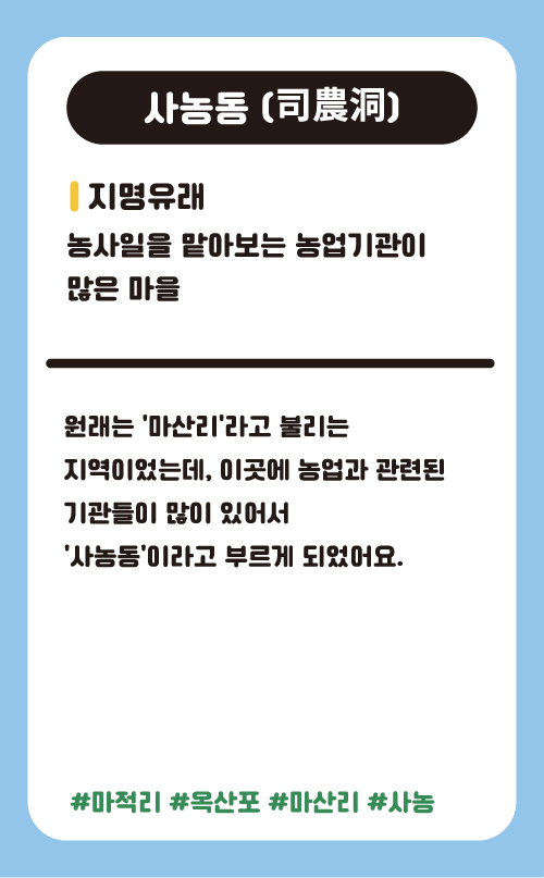 사농동